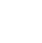 Scout fluer-de-lis
